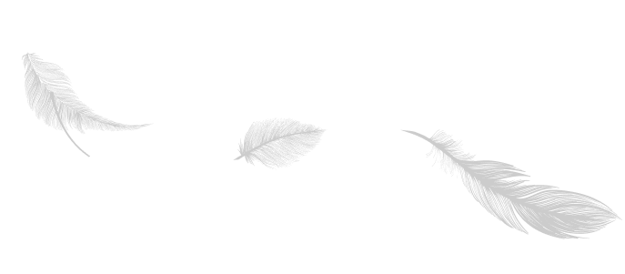 羽根