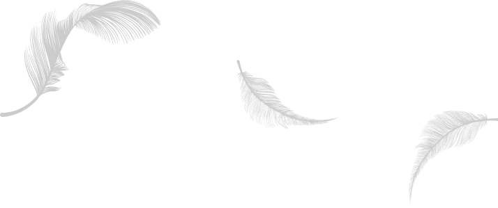 羽根