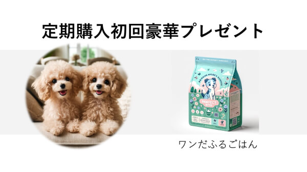 LPの資料